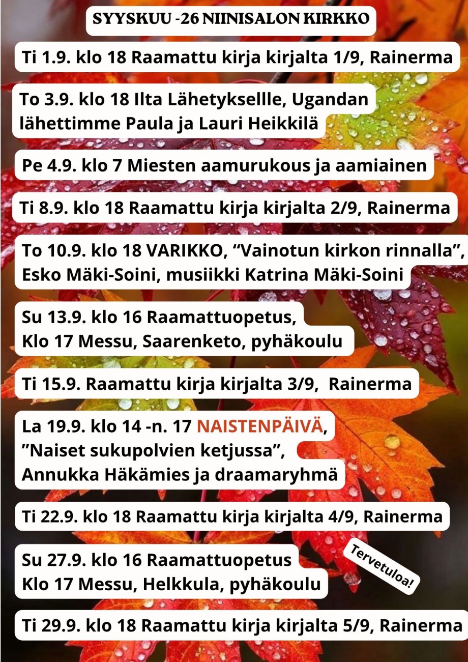 B Viikko